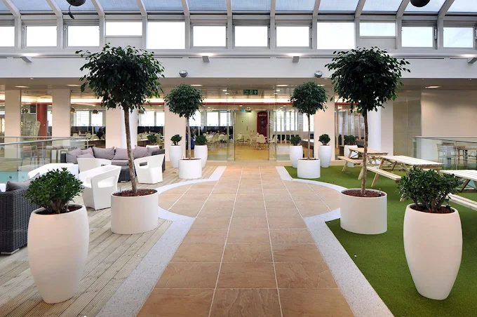 Right Commercial Cleaning