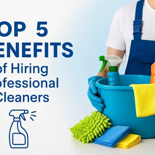 Professional Cleaning Services